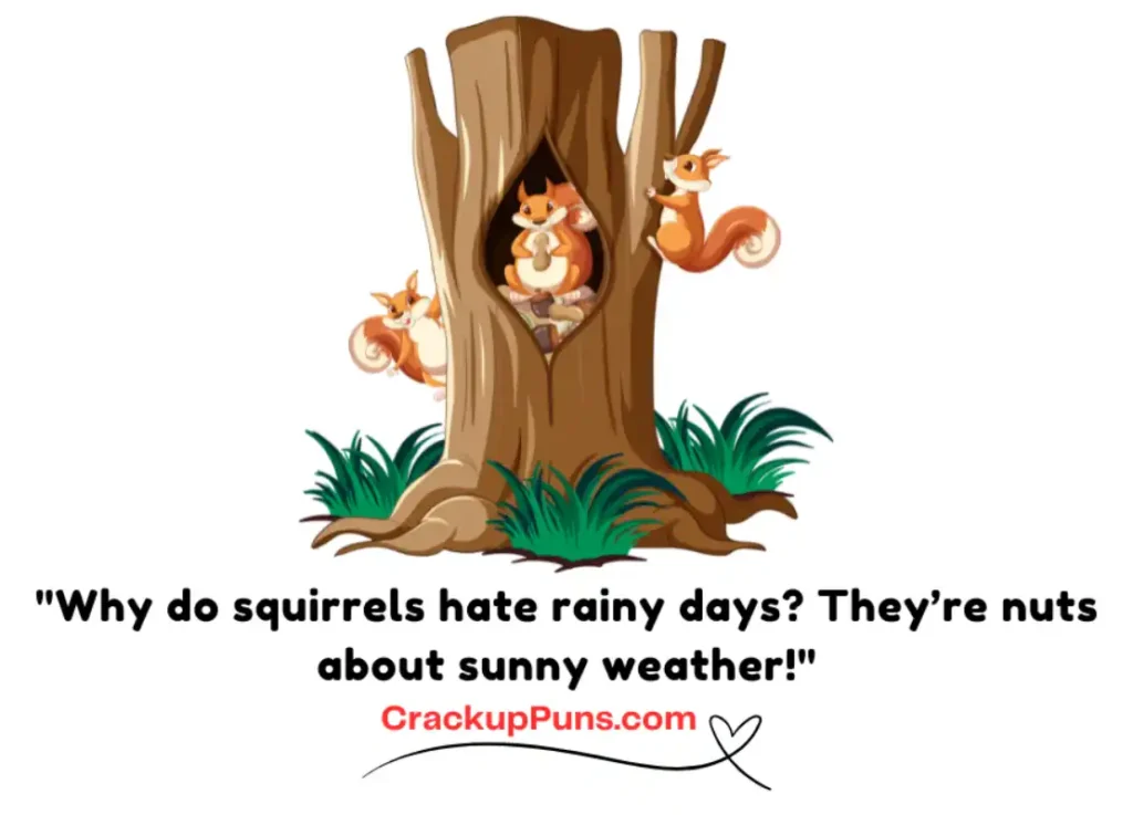 "Why do squirrels hate rainy days? They’re nuts about sunny weather!"