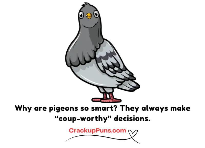 pigeon puns