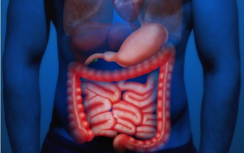 Comprehensive Guide to Pancreatic Cancer Diagnosis & Treatment in Singapor