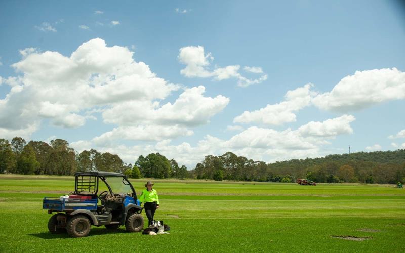 Finding the Perfect Turf: My Experience with Albert Valley Turf and Wintergreen Couch