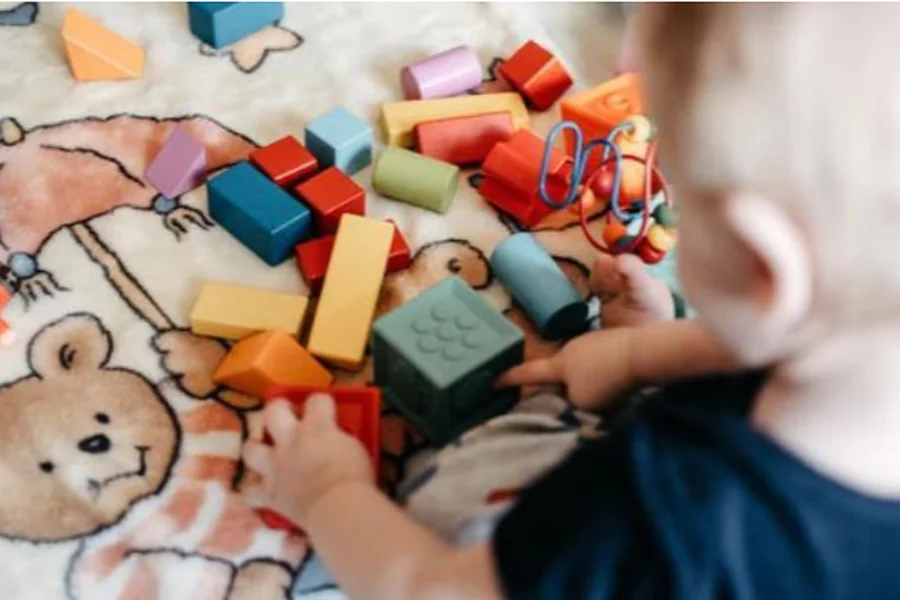 Choosing Interactive Toys