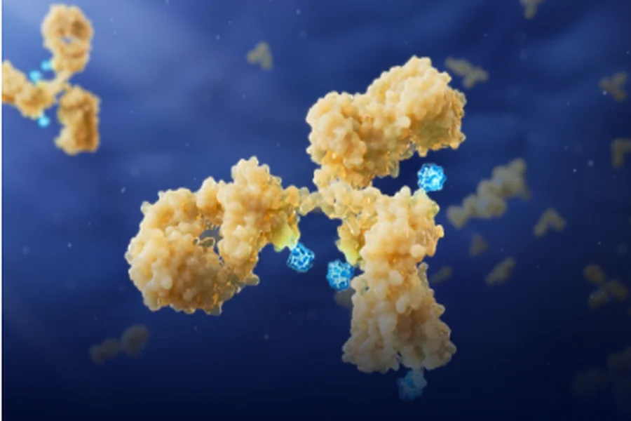Role Of Dmpk In Personalized Medicine Approaches