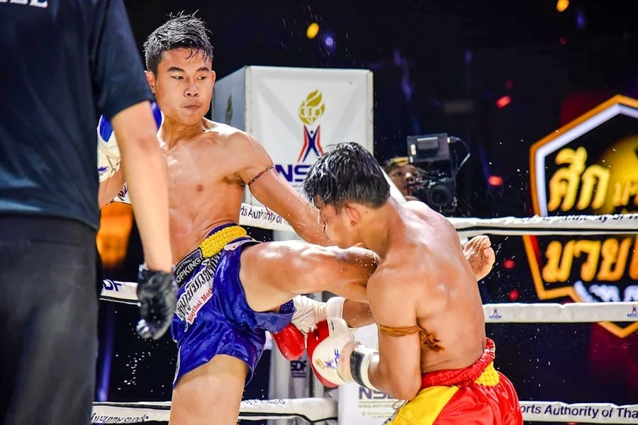 Muay Thai Enthusiasts